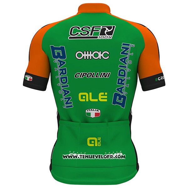 2017 Maillot Ciclismo Bardiani CSF Blanc et Vert Manches Courtes et Cuissard
